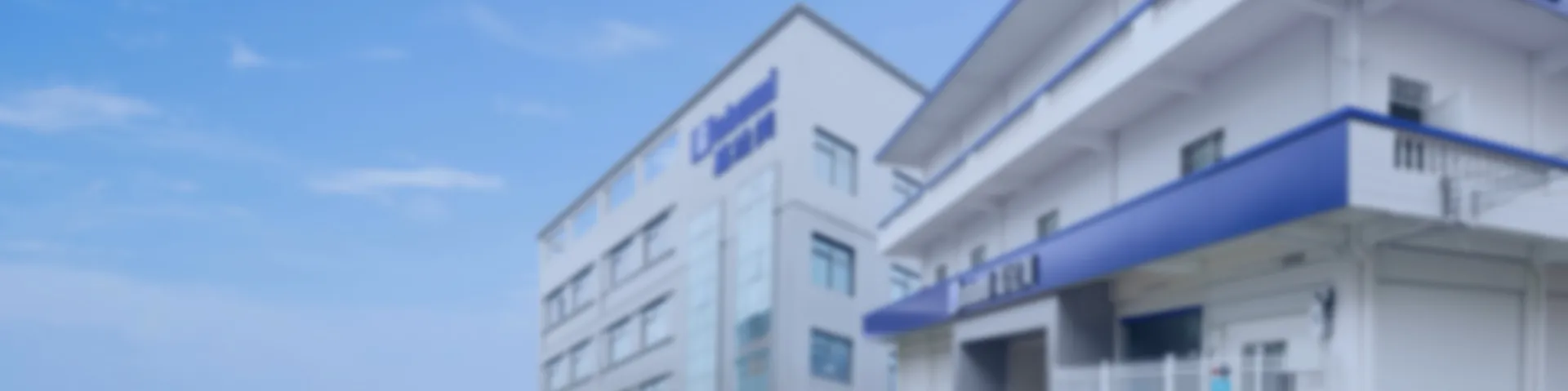 Gahumi History.webp